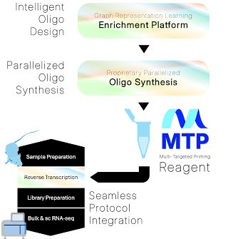 Workflowd description how MTP fits into the reverse transcription step of the rna-seq process